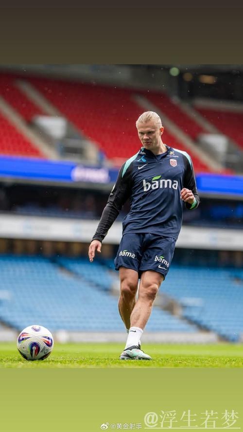 哈兰德冲击世界杯!挪威三连胜领跑世预赛I组,大胜意大利 哈兰德冲击世界杯!挪威三连胜领跑世预赛I组,大胜意大利